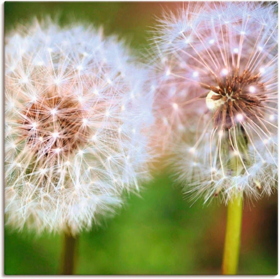 Artland Artprint op linnen Pluizenbol paarsgewijs samenzijn - Foto 5