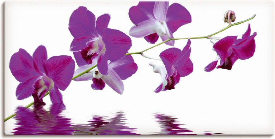 Artland Artprint op linnen Violette orchideeën gespannen op een spieraam - Foto 4