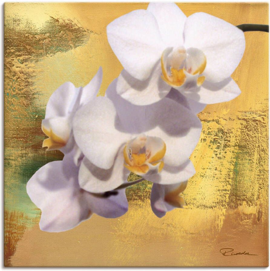 Artland Artprint op linnen Witte orchidee II gespannen op een spieraam - Foto 1