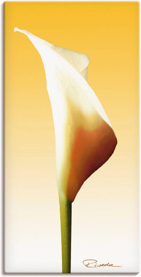 Artland Artprint op linnen Zonsondergang op Sylt Zonneschijn calla I - Foto 1