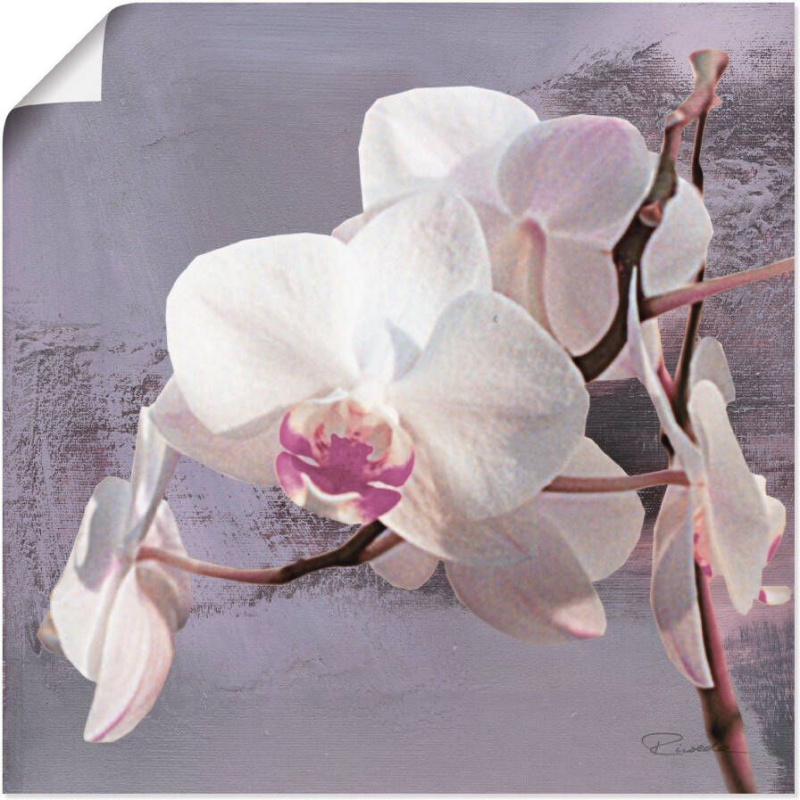 Artland Artprint Orchideeën voor violet I als artprint van aluminium artprint voor buiten artprint op linnen poster muursticker - Foto 1