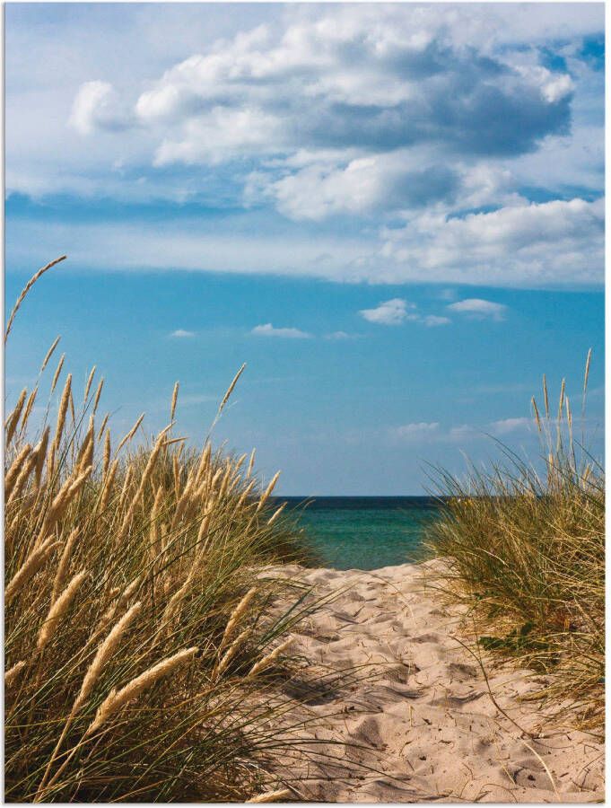 Artland Artprint Pad naar het strand aan de Oostzee Denemarken 9 als aluminiumfoto buitenfoto in verschillende maten - Foto 4