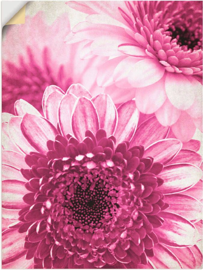 Artland Wandfolie Pinkkleurige gerbera - Foto 3