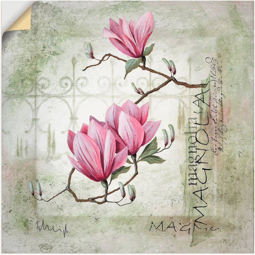 Artland Artprint Pinkkleurige magnolia als artprint op linnen poster muursticker in verschillende maten