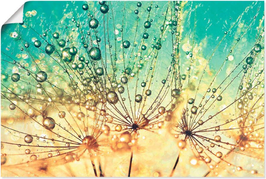 Artland Artprint Pluizenbol druppelmagie als artprint van aluminium artprint voor buiten artprint op linnen poster muursticker - Foto 7