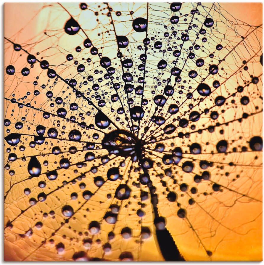 Artland Artprint Pluizenbol druppelvanger als artprint op linnen muursticker in verschillende maten - Foto 5