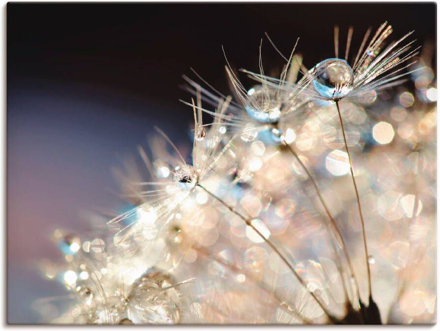 Artland Artprint op linnen Pluizenbol fantasie - Foto 6