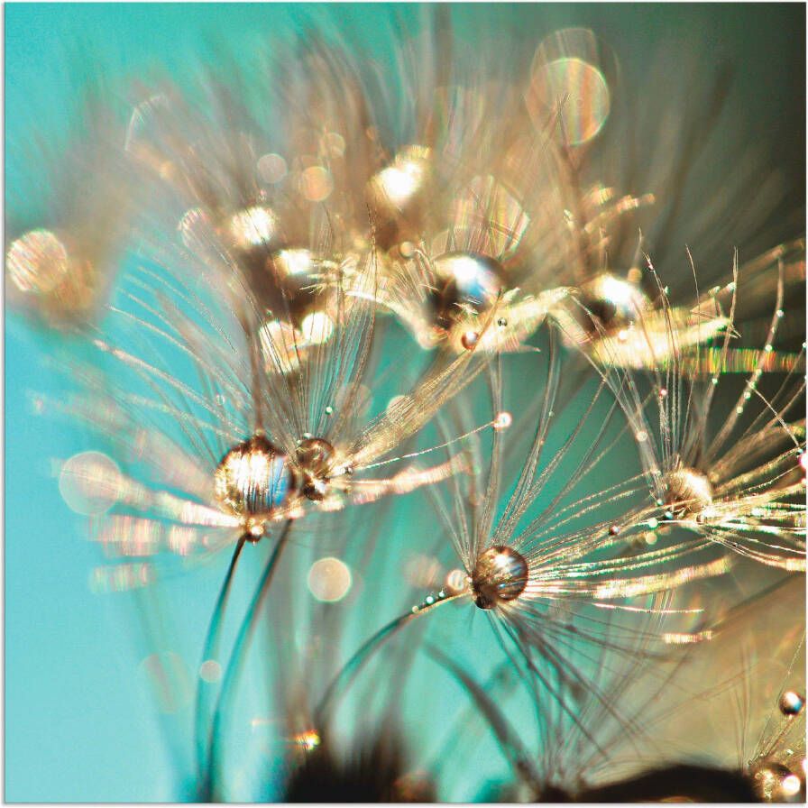 Artland Artprint Pluizenbol glanzend goudkleur als artprint van aluminium artprint voor buiten artprint op linnen poster muursticker - Foto 6