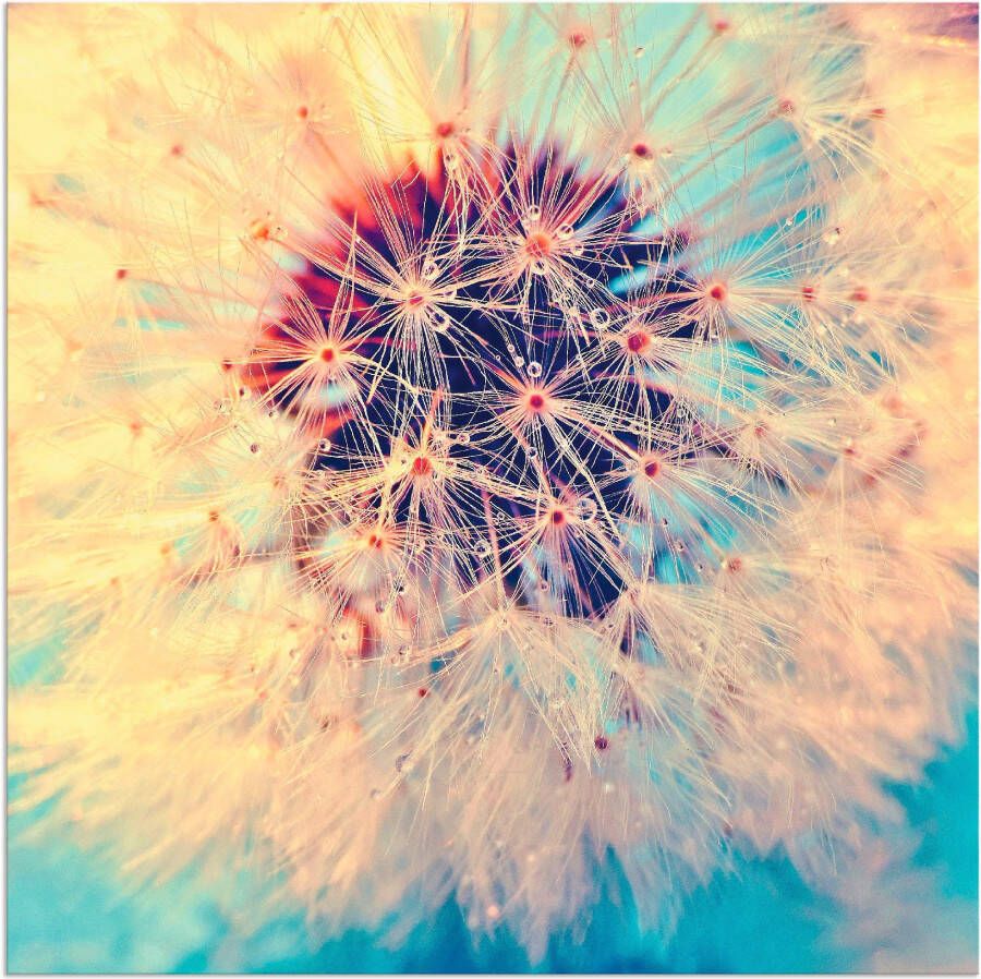 Artland Artprint Pluizenbol heel dichtbij als artprint van aluminium artprint voor buiten artprint op linnen poster in verschillende maten. maten - Foto 6