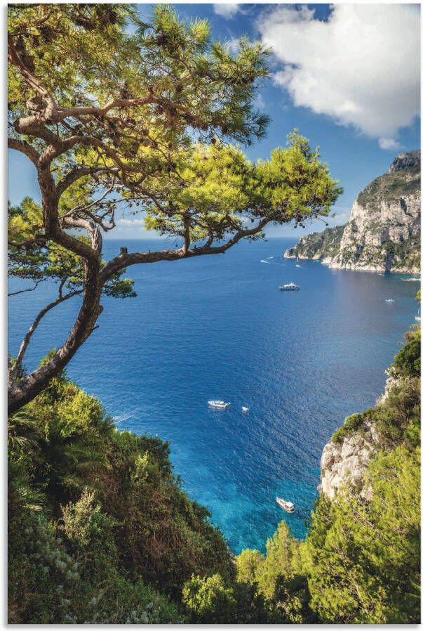 Artland Artprint Punta de Masullo eiland capri Italië als artprint van aluminium artprint voor buiten artprint op linnen poster muursticker - Foto 7