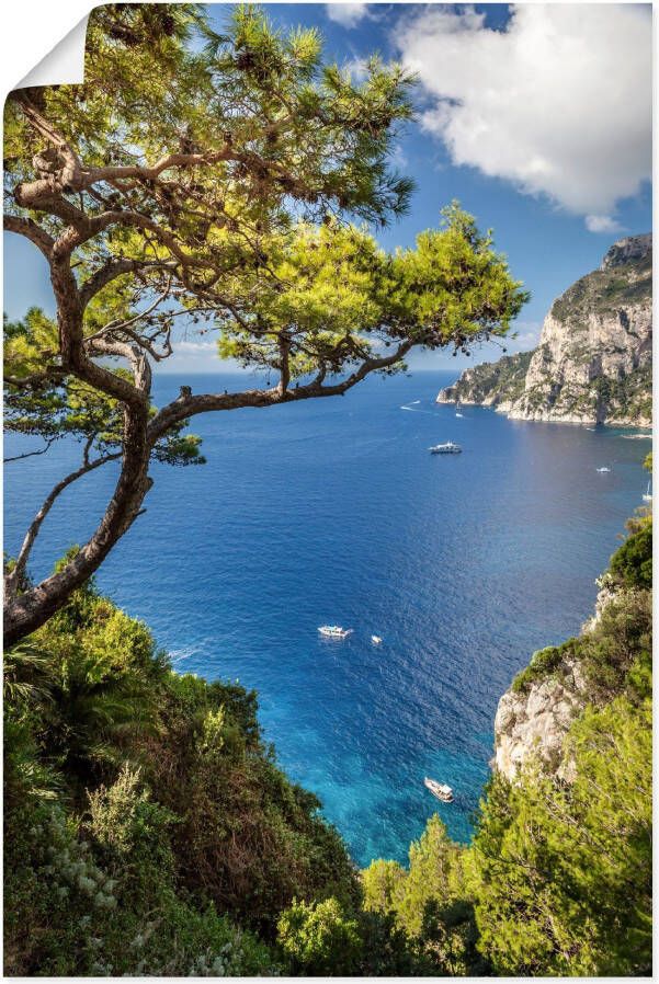 Artland Artprint Punta de Masullo eiland capri Italië als artprint van aluminium artprint voor buiten artprint op linnen poster muursticker - Foto 6