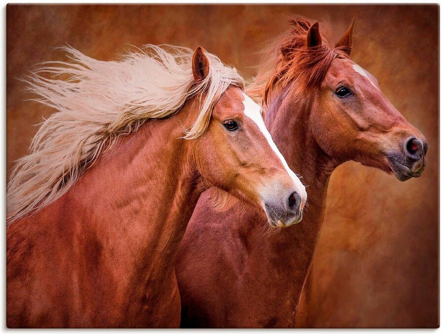 Artland Artprint Raszuivere paarden I als artprint op linnen poster muursticker in verschillende maten - Foto 4