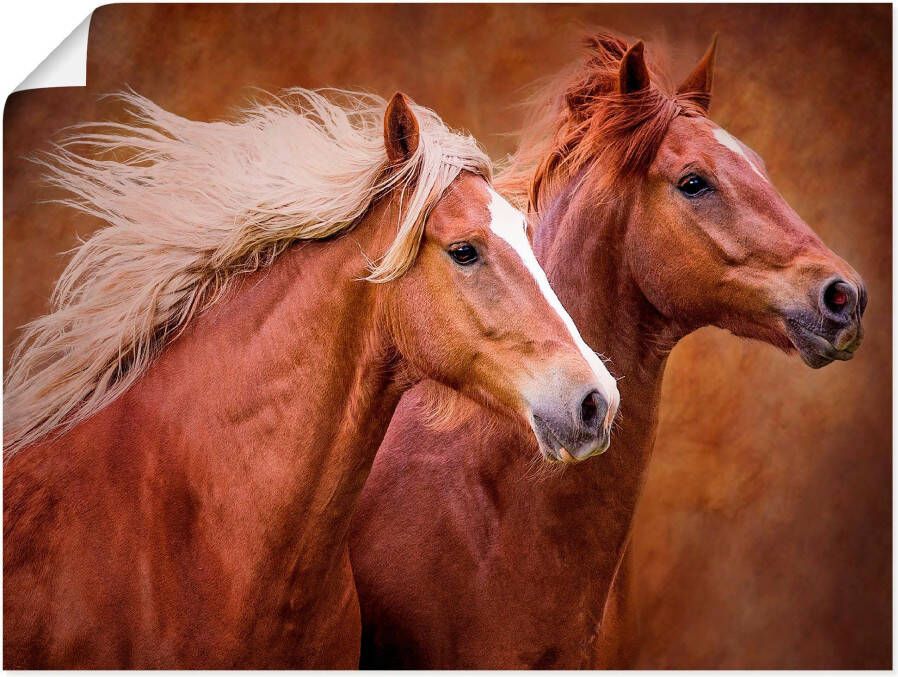 Artland Artprint Raszuivere paarden I als artprint op linnen poster muursticker in verschillende maten - Foto 4