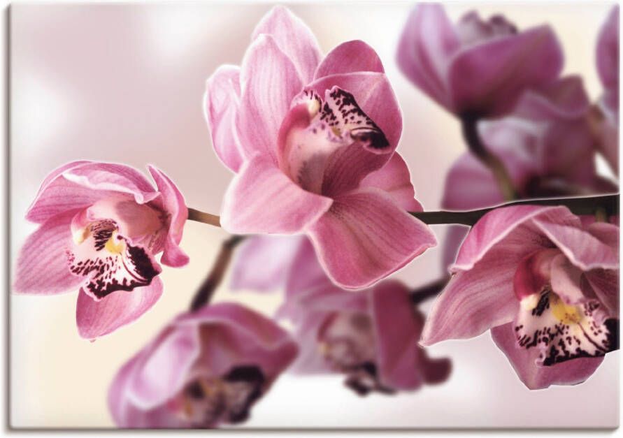 Artland Artprint Roze orchidee als artprint van aluminium artprint voor buiten artprint op linnen poster muursticker - Foto 4