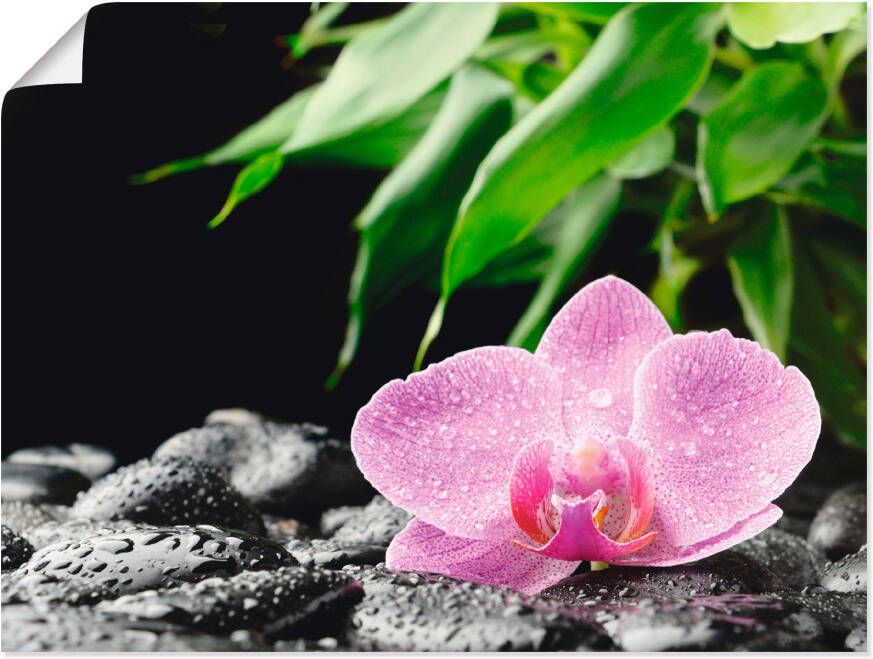 Artland Artprint Roze orchidee op zwarte zen stenen als artprint op linnen poster in verschillende formaten maten