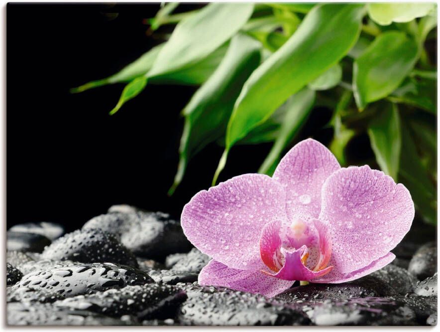 Artland Artprint Roze orchidee op zwarte zen stenen als artprint op linnen poster in verschillende formaten maten - Foto 4