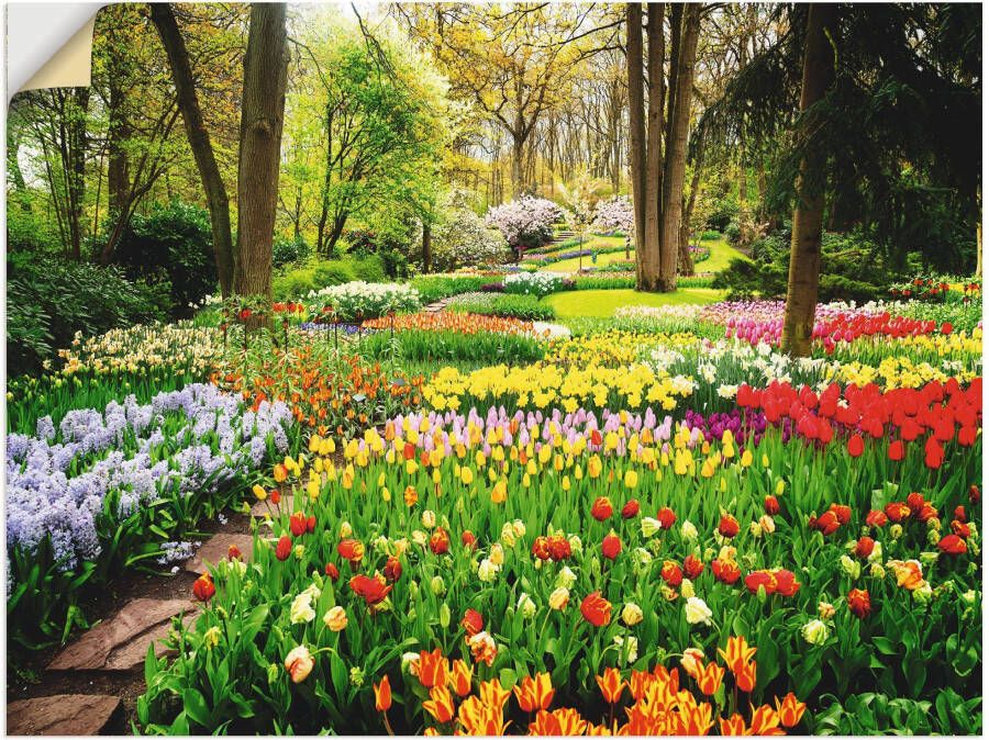 Artland Artprint Tulpen tuin voorjaar als artprint van aluminium artprint voor buiten artprint op linnen poster muursticker - Foto 6