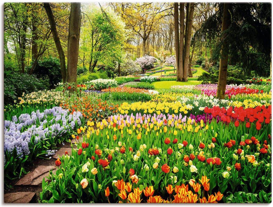 Artland Artprint Tulpen tuin voorjaar als artprint van aluminium artprint voor buiten artprint op linnen poster muursticker - Foto 6