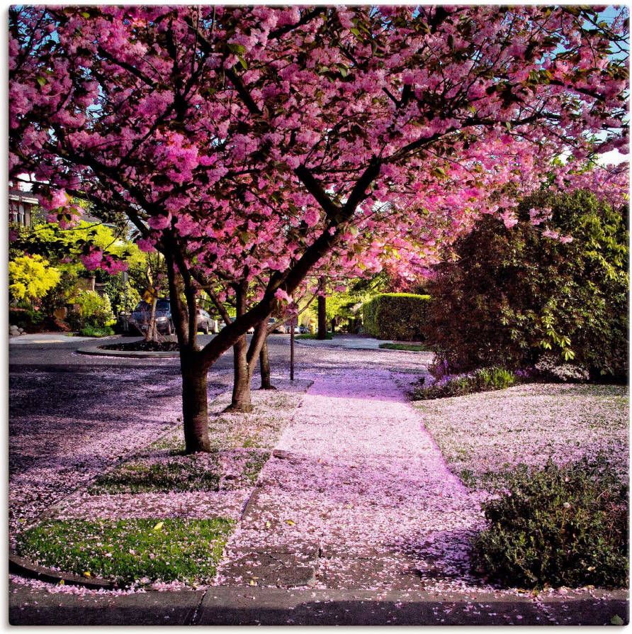 Artland Artprint Vallende bloemblaadjes als artprint van aluminium artprint voor buiten artprint op linnen poster in verschillende maten. maten - Foto 6