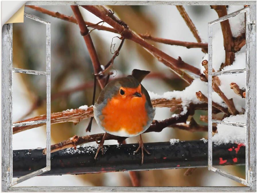 Artland Artprint Vensterbeeld roodborst als poster muursticker in verschillende maten