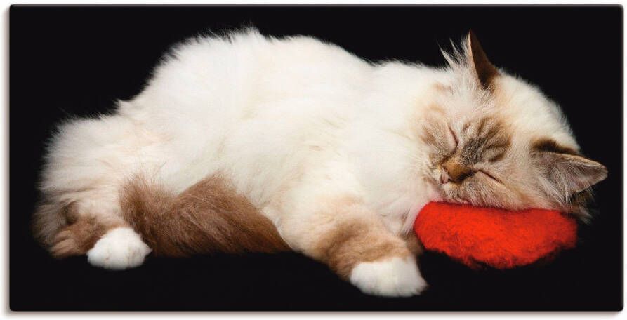 Artland Artprint op linnen Vermoeide kat - Foto 7