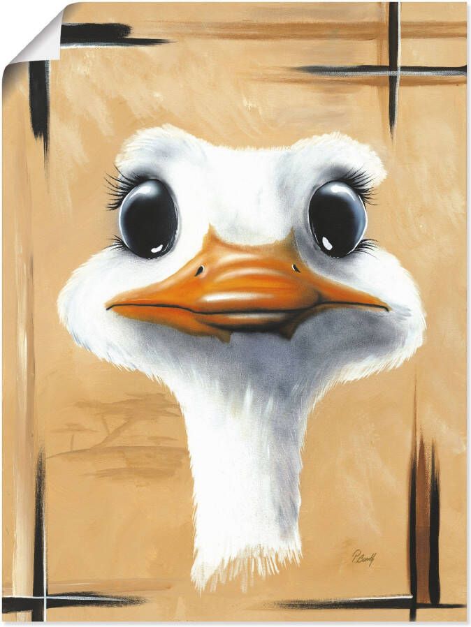 Artland Artprint Vrolijke struisvogel als poster muursticker in verschillende maten - Foto 4