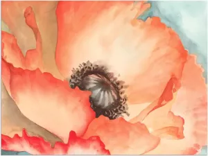 Artland Artprint Waterverf papaver II in vele afmetingen & productsoorten artprint van aluminium artprint voor buiten artprint op linnen poster muursticker wandfolie ook geschikt voor de badkamer (1 stuk)