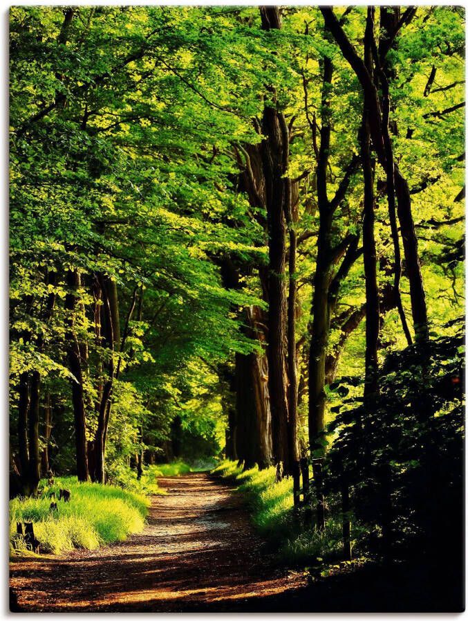Artland Artprint Weg in het bos als artprint op linnen poster in verschillende formaten maten - Foto 6