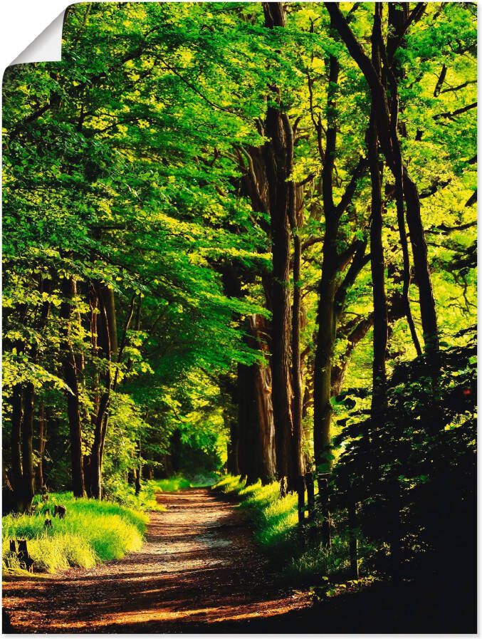 Artland Artprint Weg in het bos als artprint op linnen poster in verschillende formaten maten