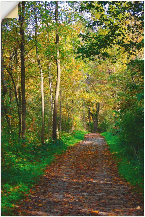 Artland Artprint Weg in het herfstbos als poster muursticker in verschillende maten - Foto 1