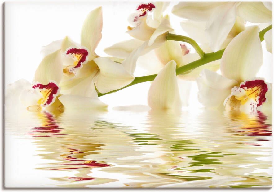 Artland Artprint Witte orchidee met waterreflectie als artprint op linnen poster in verschillende formaten maten - Foto 4
