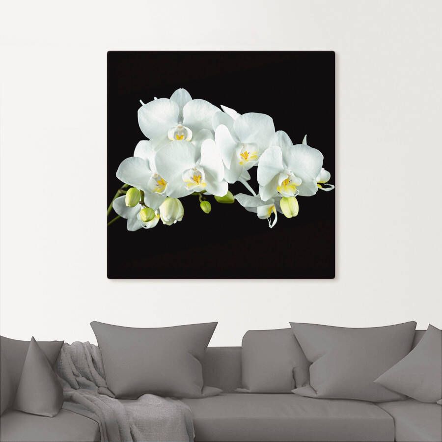 Artland Artprint Witte orchidee op een zwarte achtergrond als artprint op linnen poster muursticker in verschillende maten - Foto 4