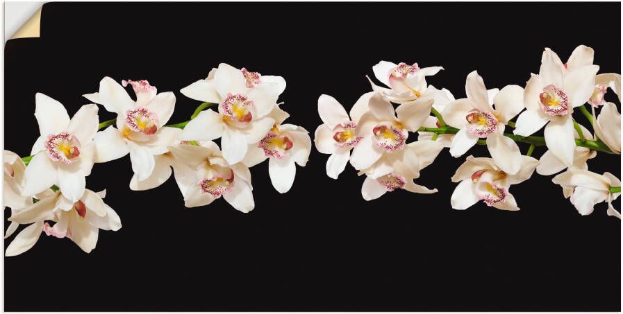 Artland Artprint Witte orchideeën als artprint van aluminium artprint op linnen muursticker of poster in verschillende maten - Foto 1