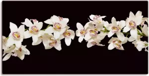 Artland Artprint Witte orchideeën in vele afmetingen & productsoorten artprint van aluminium artprint voor buiten artprint op linnen poster muursticker wandfolie ook geschikt voor de badkamer (1 stuk)