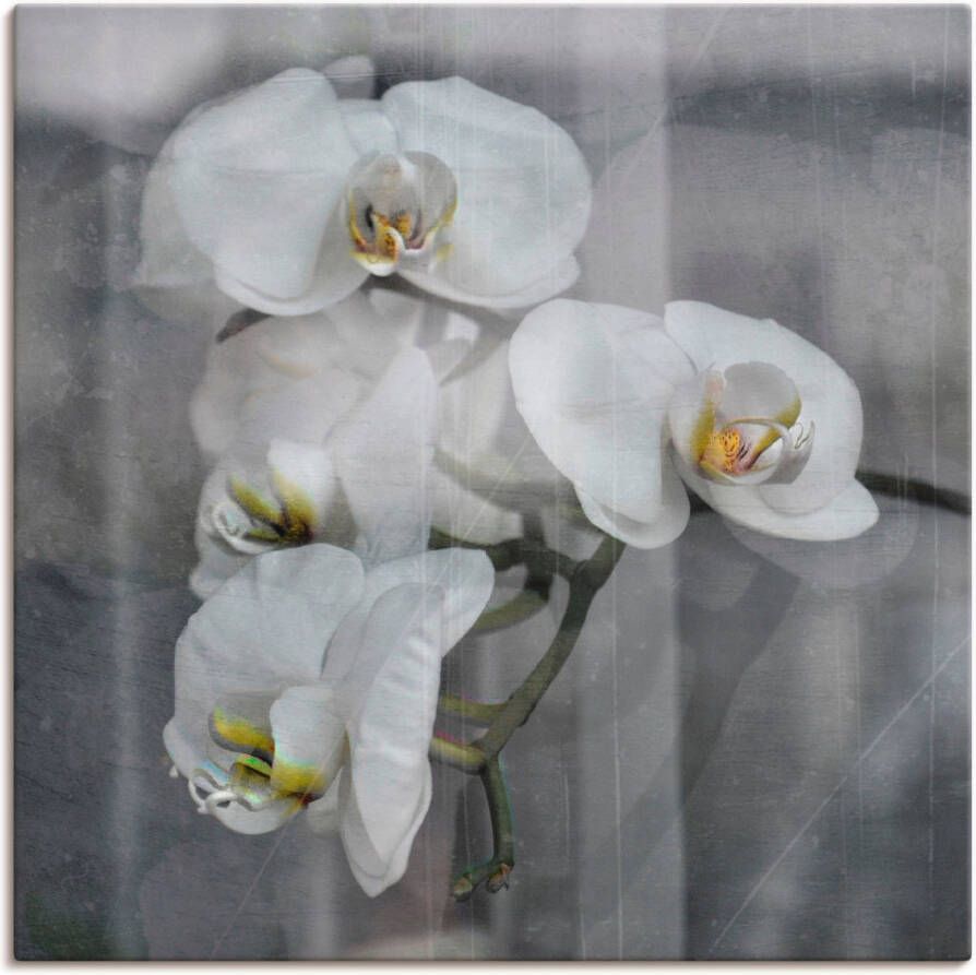Artland Artprint Witte orchideeën white orchidee als artprint op linnen muursticker in verschillende maten