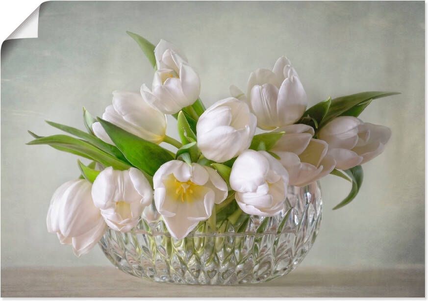 Artland Artprint Witte tulpen als artprint op linnen poster muursticker in verschillende maten - Foto 5