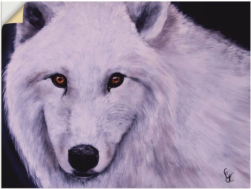 Artland Wandfolie Witte wolf zelfklevend - Foto 4