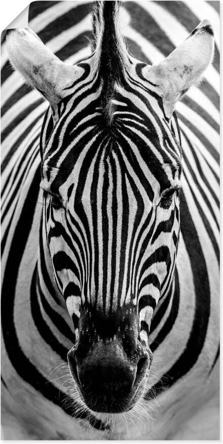 Artland Artprint Zebra als artprint op linnen poster muursticker in verschillende maten - Foto 1