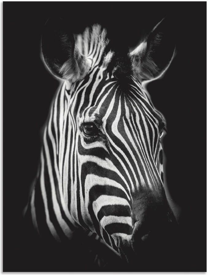 Artland Artprint Zebra als artprint van aluminium artprint voor buiten artprint op linnen poster muursticker - Foto 5