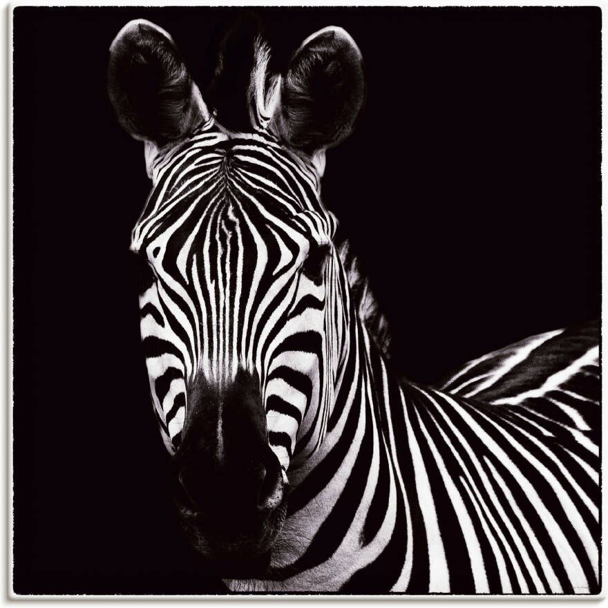 Artland Artprint Zebra II als artprint op linnen muursticker in verschillende maten - Foto 4