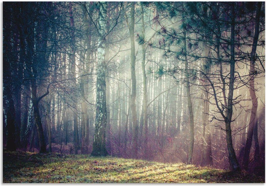 Artland Aluminium dibond print Zonnestralen in het bos geschikt voor binnen en buiten buitenafbeelding - Foto 7