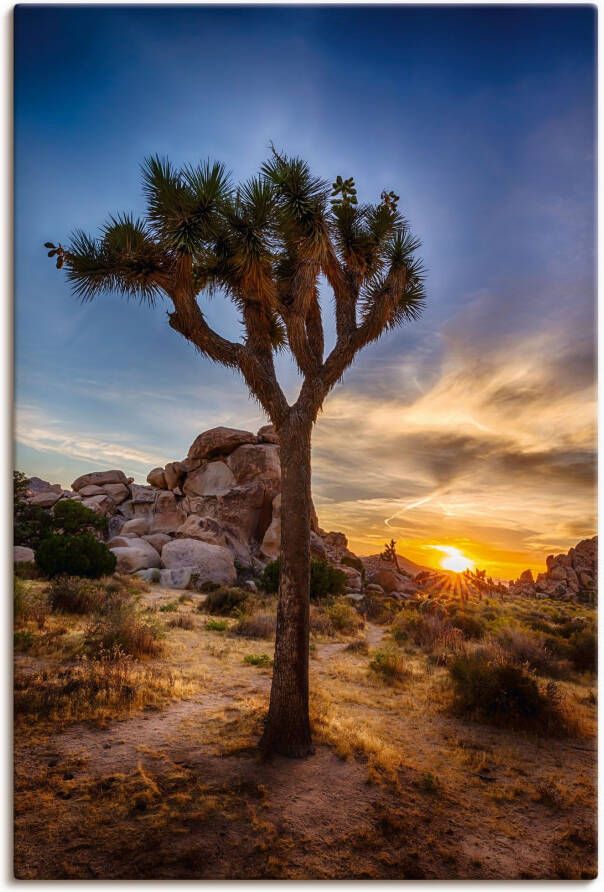 Artland Artprint Zonsondergang Joshua Tree nationaalpark als artprint op linnen in verschillende maten - Foto 5