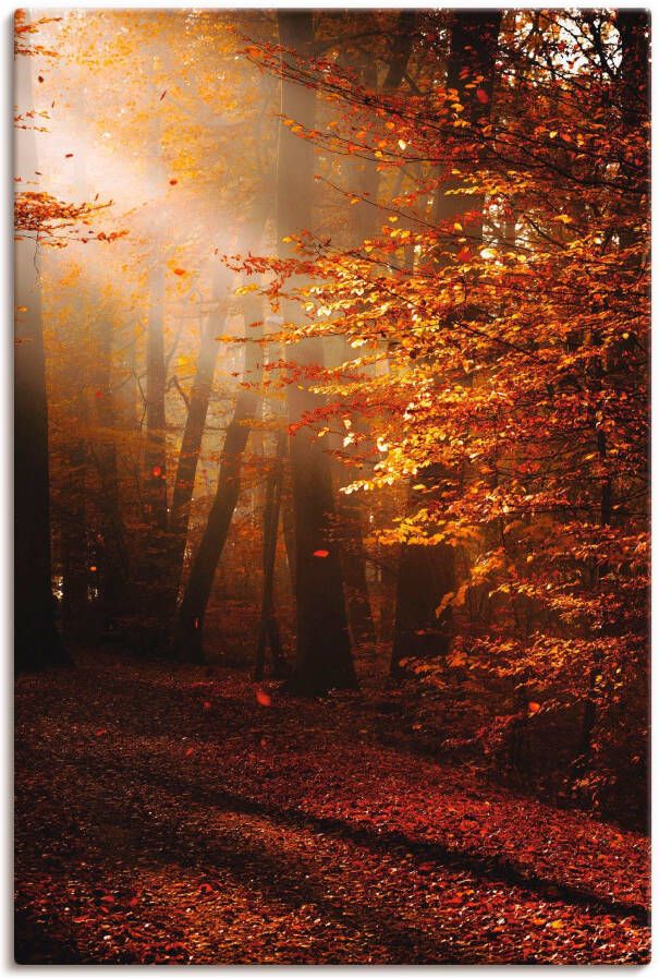 Artland Artprint Zonsopkomst in de herfst als artprint op linnen poster in verschillende formaten maten - Foto 1