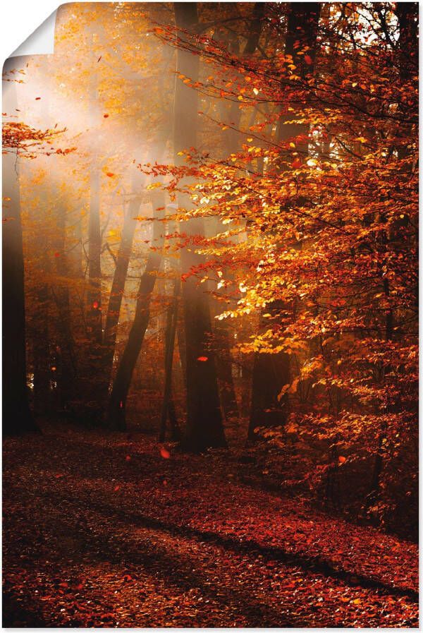 Artland Artprint Zonsopkomst in de herfst als artprint op linnen poster in verschillende formaten maten