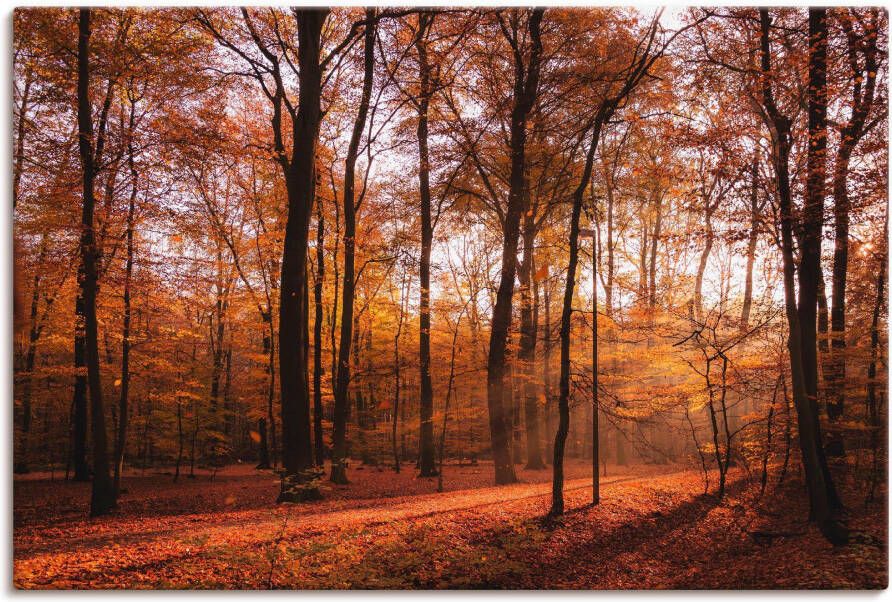 Artland Artprint op linnen Zonsopkomst in de herfst II