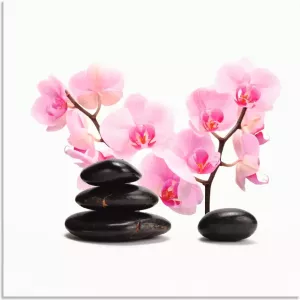 Artland Artprint Zwarte stenen en pink orchidee in vele afmetingen & productsoorten artprint van aluminium artprint voor buiten artprint op linnen poster muursticker wandfolie ook geschikt voor de badkamer (1 stuk)