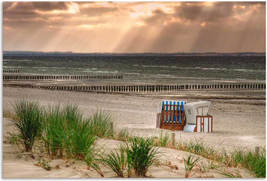 Artland Artprint Zwarte struik strand op eiland Poel als artprint van aluminium artprint op linnen muursticker verschillende maten