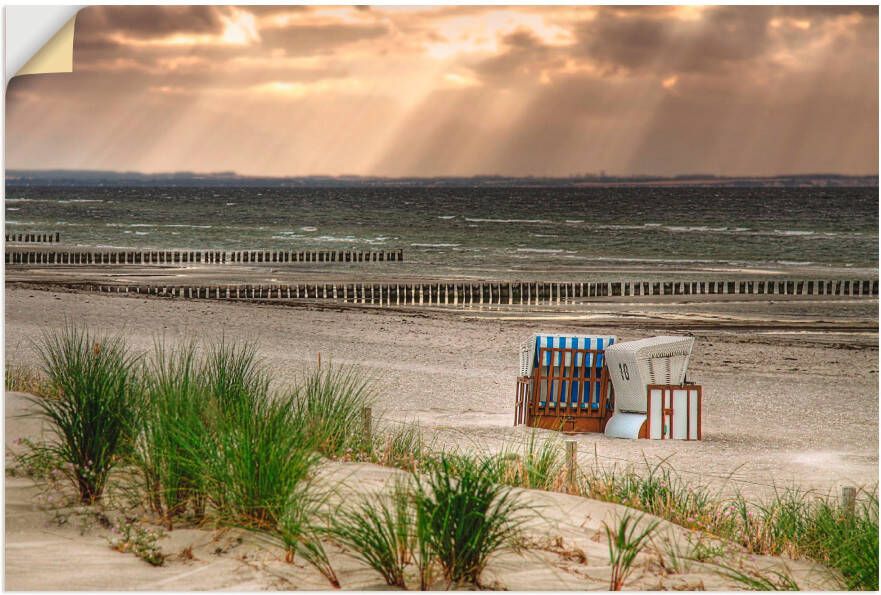 Artland Artprint Zwarte struik strand op eiland Poel als artprint van aluminium artprint op linnen muursticker verschillende maten