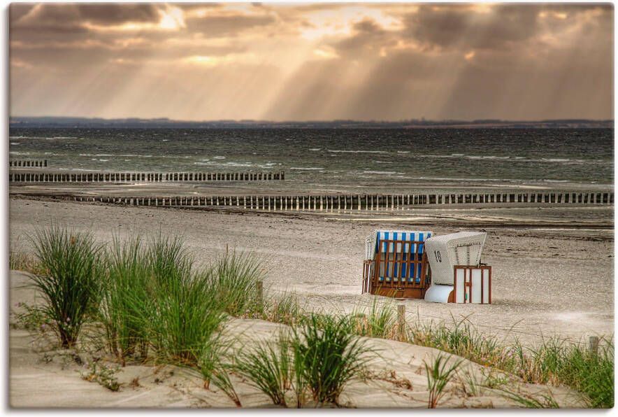 Artland Artprint Zwarte struik strand op eiland Poel als artprint van aluminium artprint op linnen muursticker verschillende maten