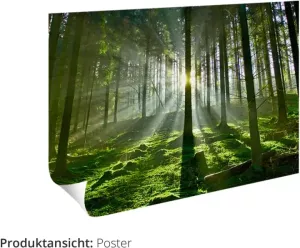Artland Artprint Zwarte struik strand op eiland Poel in vele afmetingen & productsoorten -artprint op linnen poster muursticker wandfolie ook geschikt voor de badkamer (1 stuk)